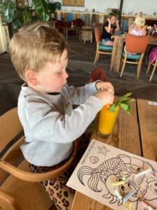 Hoe belangrijk is vitamine C